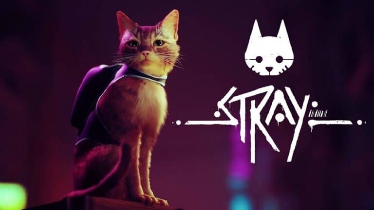 Stray downloaden kostenlos
